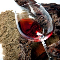 Formentera Regional Wine - Balearic Islands - Agrifoodstuffs, designations of origin and Balearic gastronomy